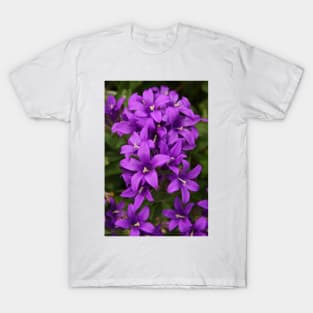 Clustered Bellflower T-Shirt